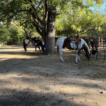 HONEY LEE RANCH - Updated April 2025 - 69 Photos & 18 Reviews - 7201 N ...