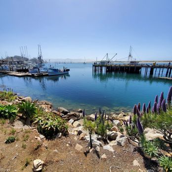 The Harbor Hut - T pier in Morro bay - Seafood Near Me - Morro Bay, California The Harbor Hut - T pier in Morro bay - Seafood Near Me - Morro Bay, California