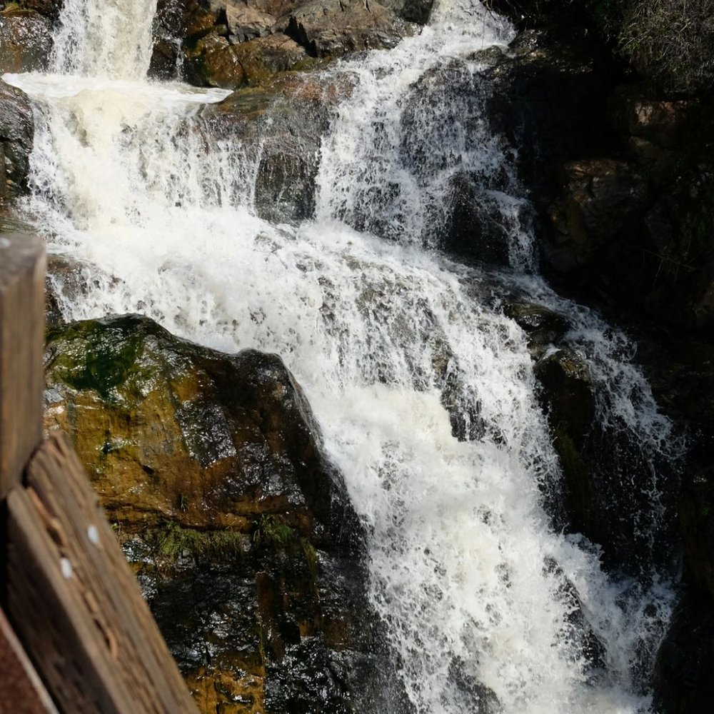 Hidden Falls Regional Park - Hidden Fall view from the outlook/viewdeck - Parks Near Me - Auburn, California Hidden Falls Regional Park - Hidden Fall view from the outlook/viewdeck - Parks Near Me - Auburn, California