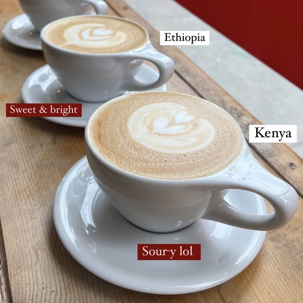 Fahrenheit Coffee - My coffee tasting flight - Coffee & Tea Near Me - Toronto, Ontario Fahrenheit Coffee - My coffee tasting flight - Coffee & Tea Near Me - Toronto, Ontario