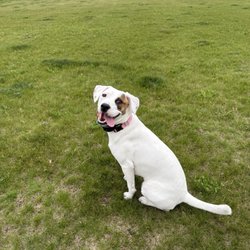 Mukwonago County Park