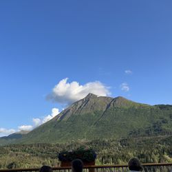 Rod & Reel Restaurant - Outdoor dining