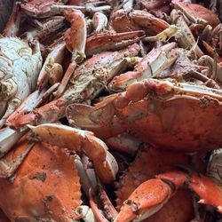 Belanga Seafood And Produce