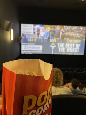 The Last Picture House by null