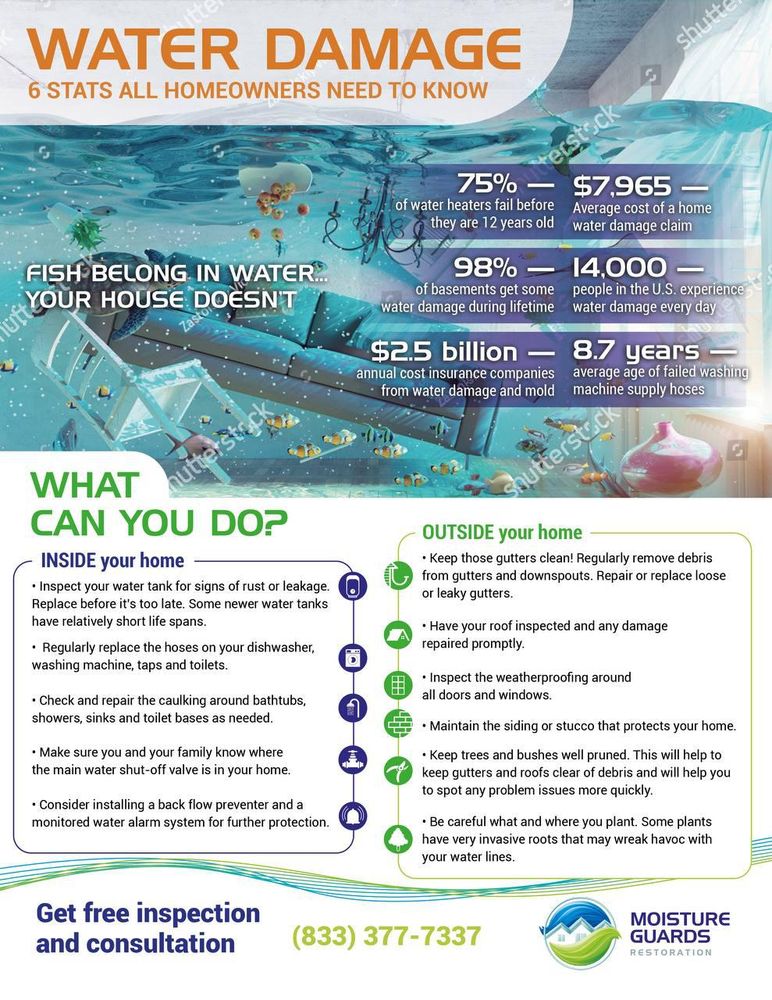 Slide of Moisture Guards