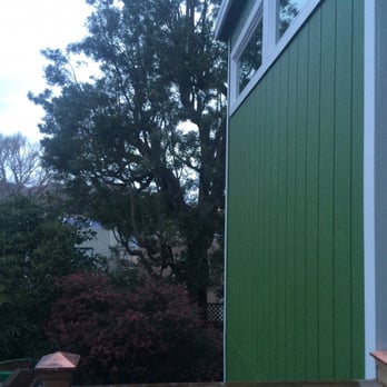 Humboldt Tree Service - Acacia in backyard - Tree Services Near Me - Brisbane, California Humboldt Tree Service - Acacia in backyard - Tree Services Near Me - Brisbane, California