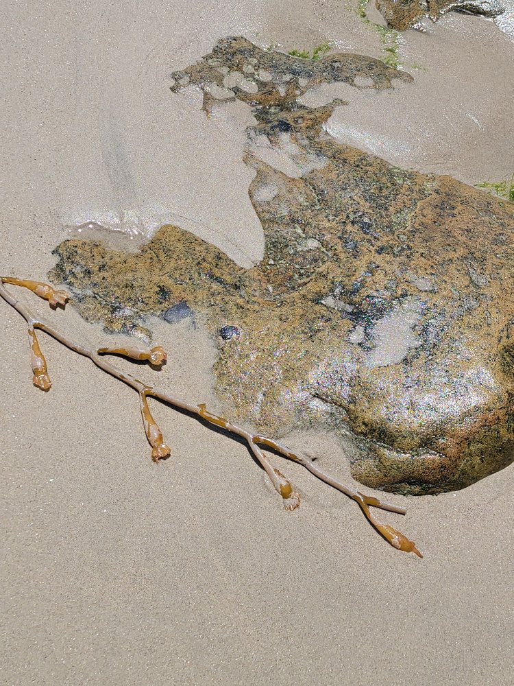 HAMMONDS BEACH Updated September 2024 25 Photos & 11 Reviews 1457