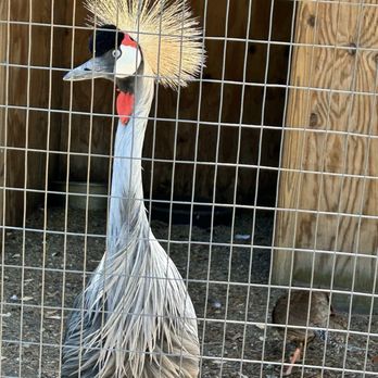 Tregembo Animal Park - Zoos Near Me - Wilmington, North Carolina Tregembo Animal Park - Zoos Near Me - Wilmington, North Carolina