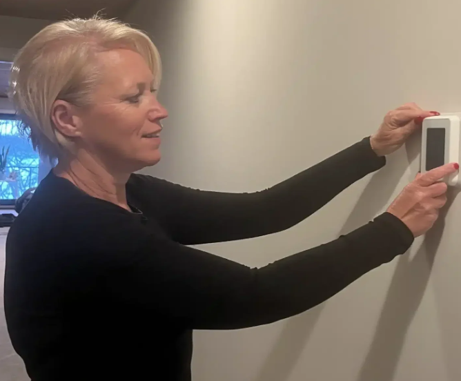 Slide of Vector Services