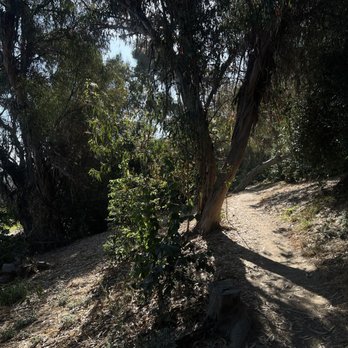 Gum Grove Nature Park - Trail - Hiking Near Me - Seal Beach, California