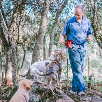Canine Constitutional - Pet Sitting Near Me Canine Constitutional - Pet Sitting Near Me