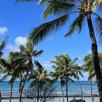 Kuhio Beach Grill - palm trees on the beach - Breakfast & Brunch Near Me - Honolulu, Hawaii Kuhio Beach Grill - palm trees on the beach - Breakfast & Brunch Near Me - Honolulu, Hawaii