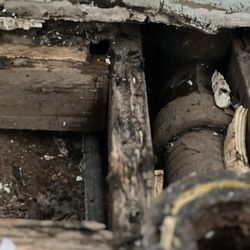 Buddy’s Plumbing Mechanical and Home Inspections