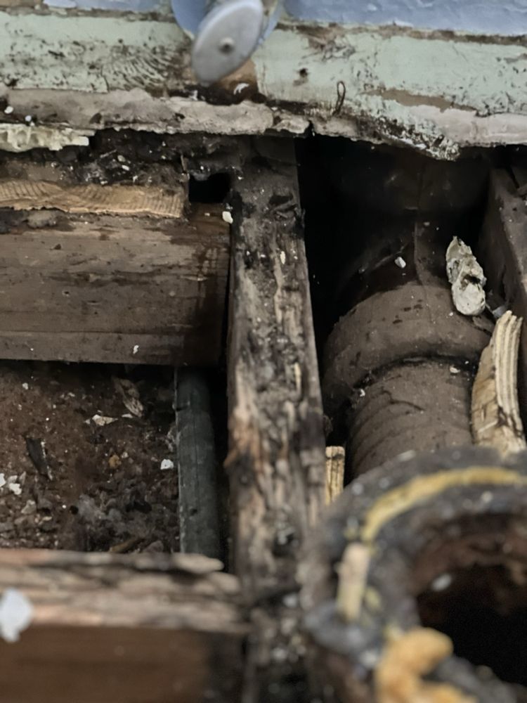 Slide of Buddy's Plumbing Mechanical and Home Inspections