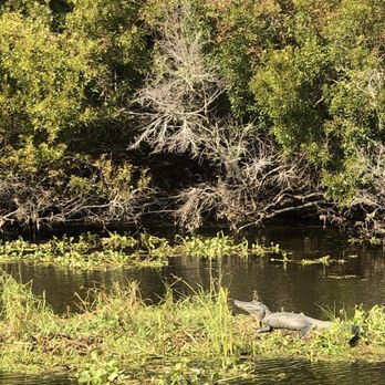 Airboat Adventures - Boat Tours Near Me - Lafitte, Louisiana Airboat Adventures - Boat Tours Near Me - Lafitte, Louisiana