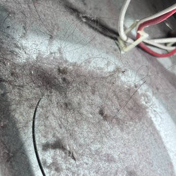 ALL DUCT & VENT CLEANING - Dirty - Air Duct Cleaning Near Me