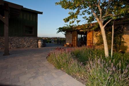 Palumbo Family Vineyard by null