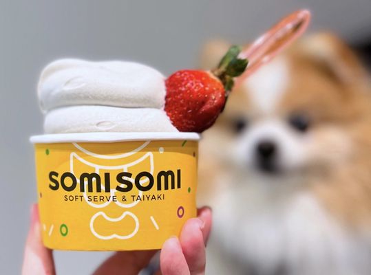 Somisomi by null