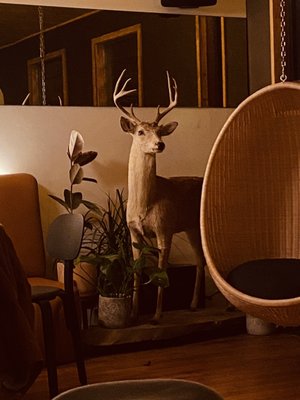 A-Frame Club by null
