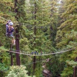 Mount Hermon Adventures - Zip Lines and Sky Bridge!