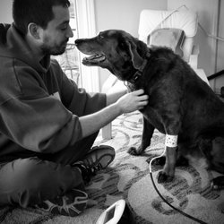 True Monarch In Home Veterinary Service