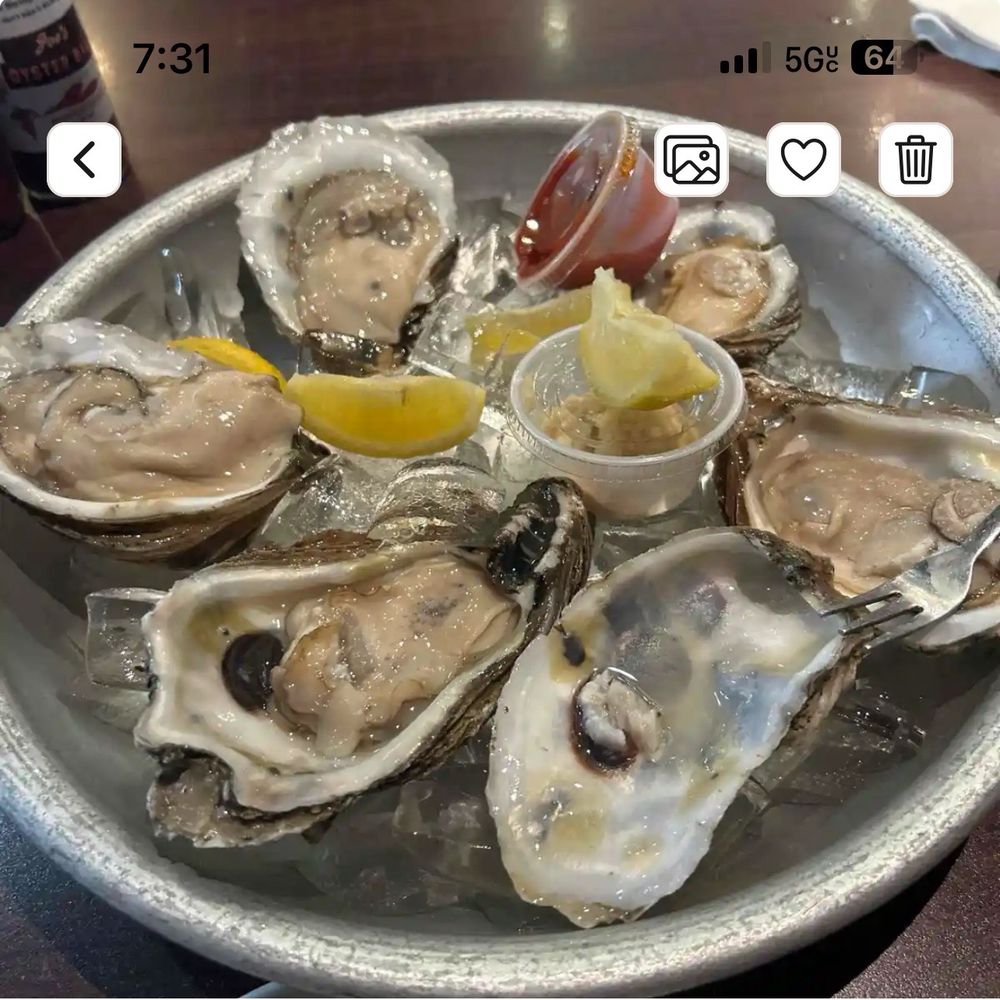 Joe's Oyster Bar & Grill - Oysters on half shell - Seafood Near Me - Rosenberg, Texas Joe's Oyster Bar & Grill - Oysters on half shell - Seafood Near Me - Rosenberg, Texas