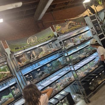 LLLReptile & Supply - Reptile Shops Near Me - Oceanside, California LLLReptile & Supply - Reptile Shops Near Me - Oceanside, California