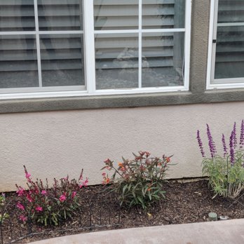 Maehara Nursery - Our beautiful new plants. - Nurseries & Gardening Near Me - Fountain Valley, California Maehara Nursery - Our beautiful new plants. - Nurseries & Gardening Near Me - Fountain Valley, California