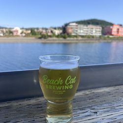Beach Cat Brewing - South Paw - Beautiful view for a brew