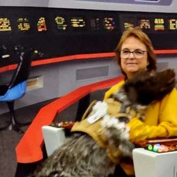 Kn9ne Vibes Dog Training - Alert Behavior - Pet Training Near Me