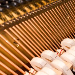 The Piano Tech - String Replacement, Hammer Spacing And Voicing Job