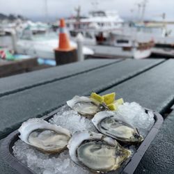 Grassy Bar Oyster Company