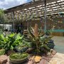 Photo of Water Garden Gems