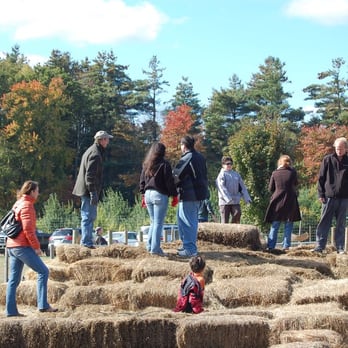 Shelburne Farm - The "Hay Maze"  Don't get your hopes up for this. - Farms Near Me - Stow, Massachusetts