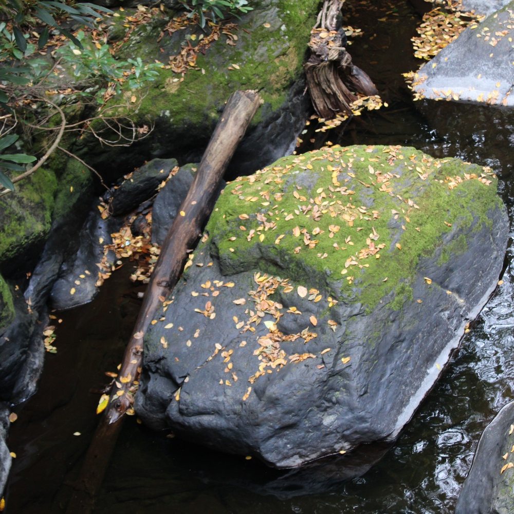 Bushkill Falls - Trail - Tours Near Me - Bushkill, Pennsylvania Bushkill Falls - Trail - Tours Near Me - Bushkill, Pennsylvania