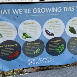 Growing Places Indy
