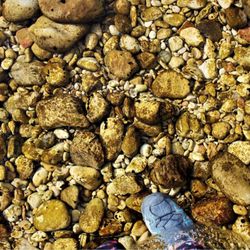Chalk Bluff River Resort - Can you believe how clear this water is