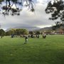 Photo of Lynwood Park