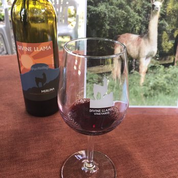 Divine Llama Vineyard - Wineries Near Me - East Bend, North Carolina