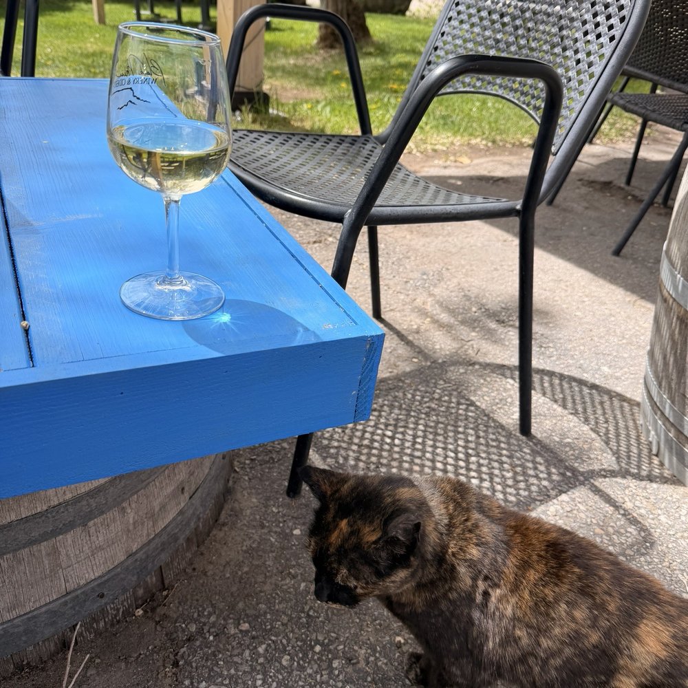 Black Mesa Winery - Wineries Near Me - Velarde, New Mexico
