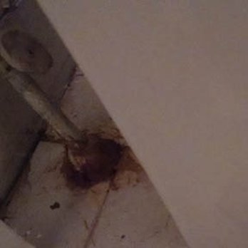 My Boston Maids - Behind bathroom sink not cleaned - Home Cleaning Near Me - Boston, Massachusetts