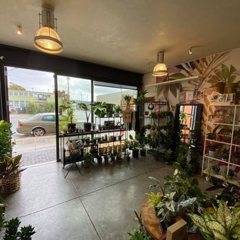 Nurture State - Interior of the store. - Nurseries & Gardening Near Me - Berkeley, California