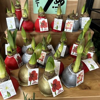 Trader Joe's Bee Cave - Grocery Near Me - Bee Cave, Texas