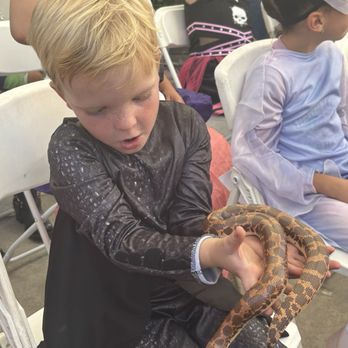Warmhearted Reptiles - Party & Event Planning Near Me Warmhearted Reptiles - Party & Event Planning Near Me