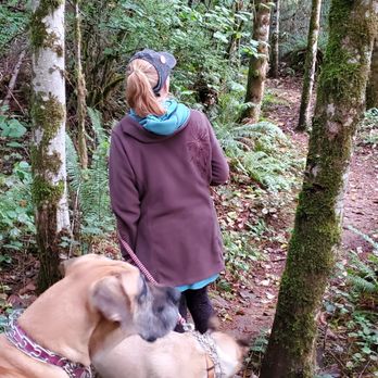 Longview North / Mount St Helens KOA - Trail - RV Parks Near Me - Castle Rock, Washington Longview North / Mount St Helens KOA - Trail - RV Parks Near Me - Castle Rock, Washington