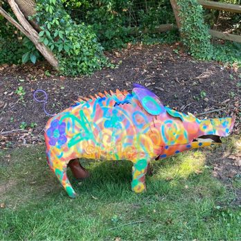 Pablo's Garden - Razorback pig garden friend - Nurseries & Gardening Near Me - Rockville, Maryland