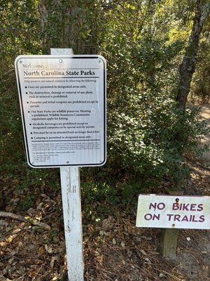 Carolina Beach State Park by null