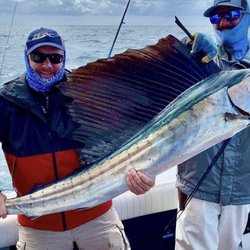 Looking to snag a sailfish? We have you covered!
