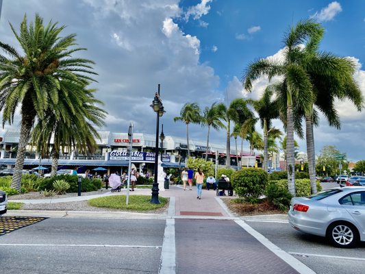 St. Armands Circle by null