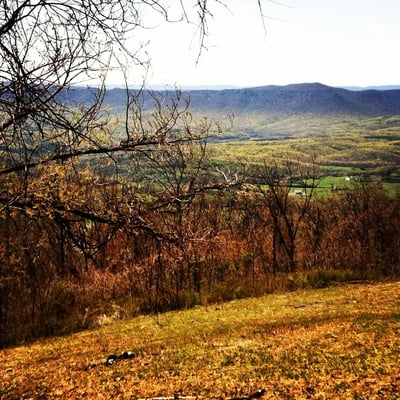 Dickey Ridge Visitor Center by null